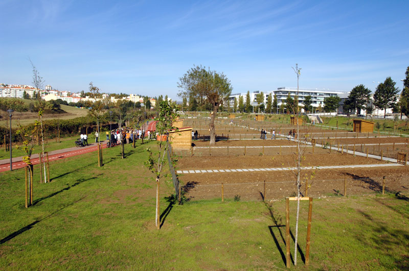 Suburban horticulture at Qta Farm, Lisbon